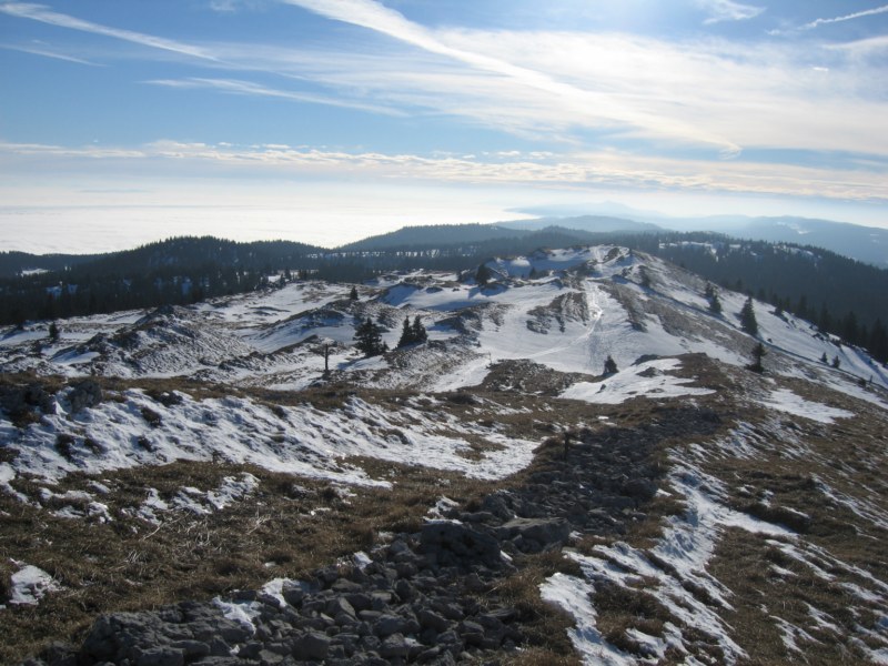 mont-tendre-randonn-e-d-t-depuis-le-col-du-marchairuz-dans-la-canton